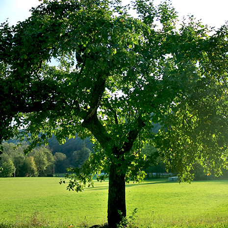 Gestion de l’environnement