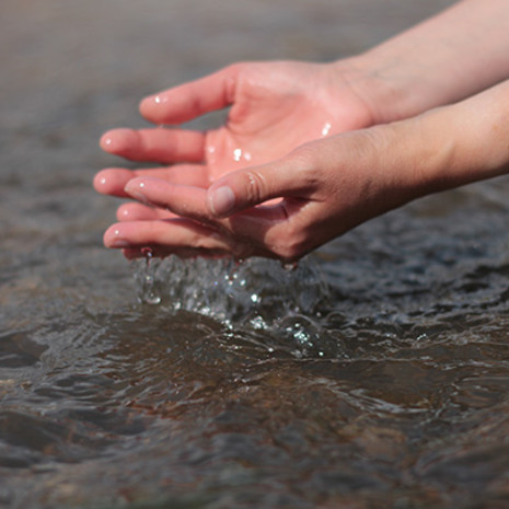 Hygiene management